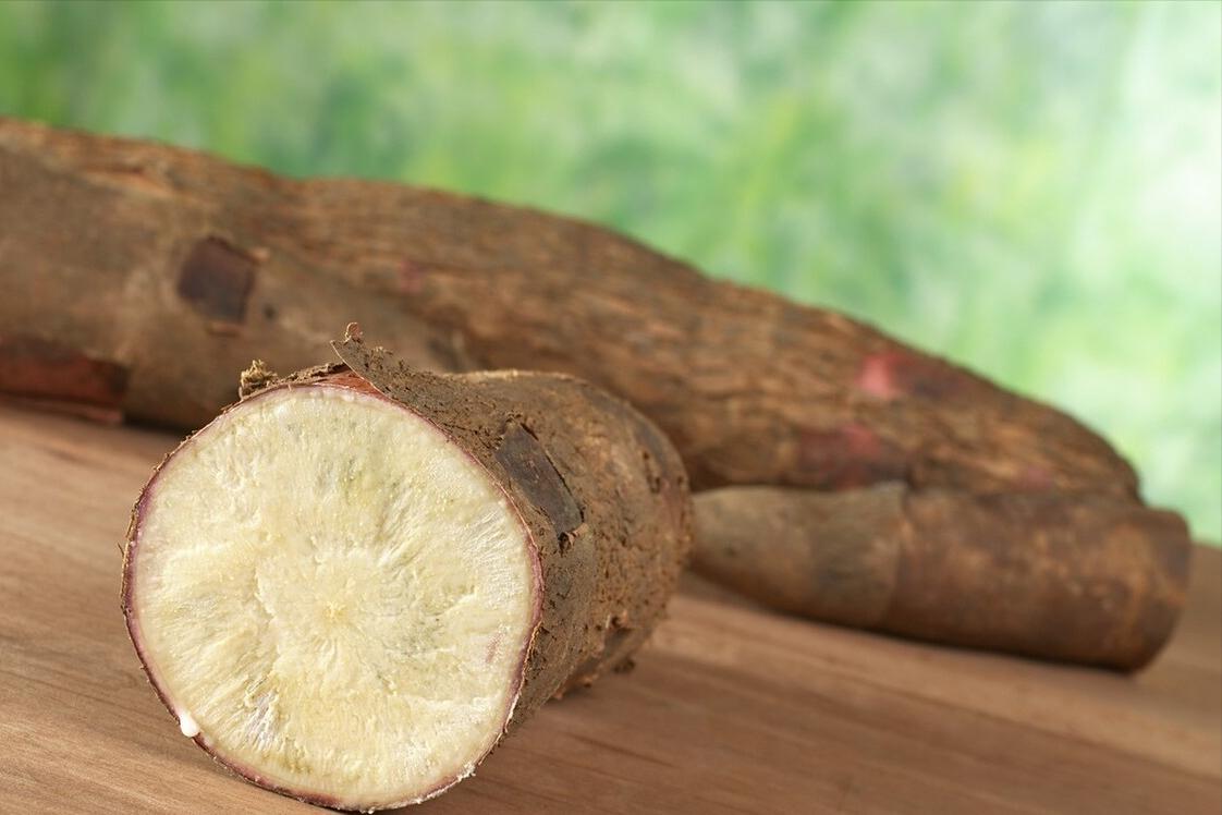 木薯为什么和红薯差价那么大,木薯跟红薯究竟有什么区别