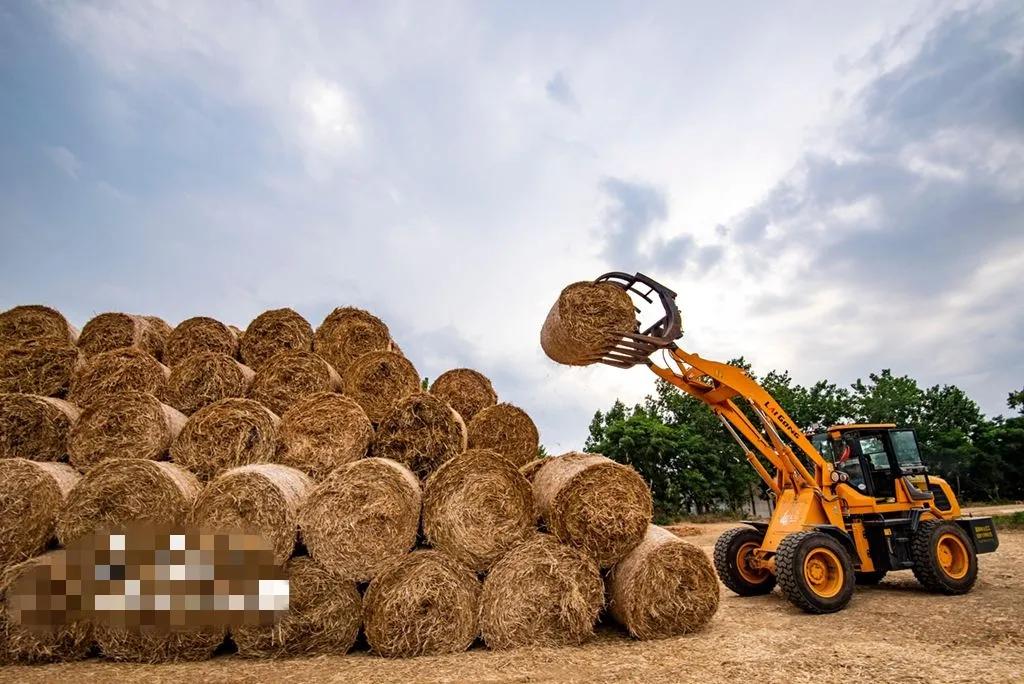 回收行业十大最赚钱项目,冷门回收行业100例