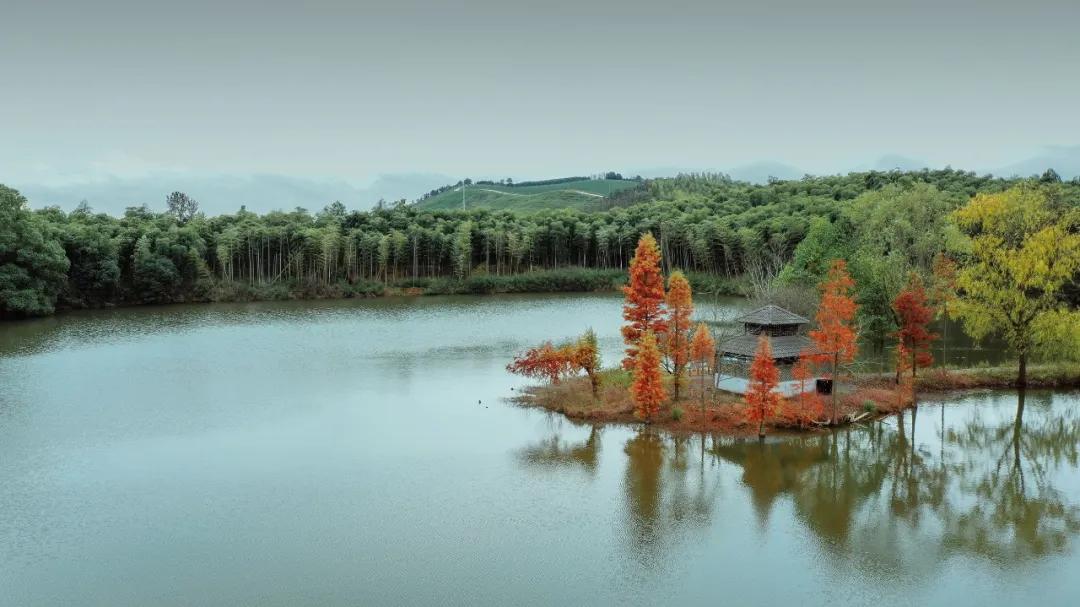 杭州西湖微信头像图片,杭州风景图片头像