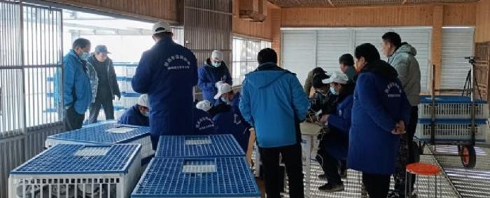 2023国际鸽联洲际杯鸽王赛,国际鸽联洲际杯国际鸽棚鸽王赛