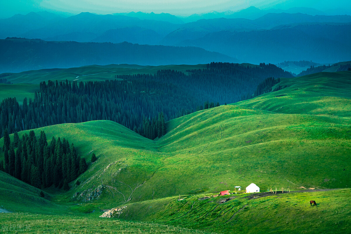尿频尿急怎么办?中医经典方清热泻火,利尿通淋