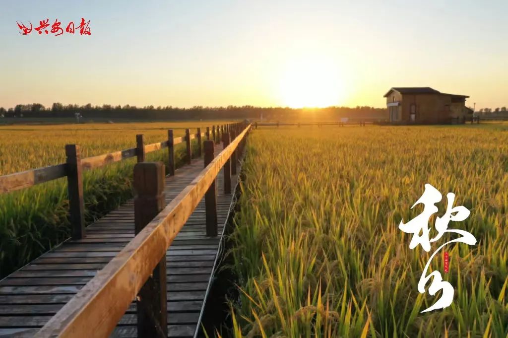 二十四节气之秋分丰收,秋分节气平分秋色