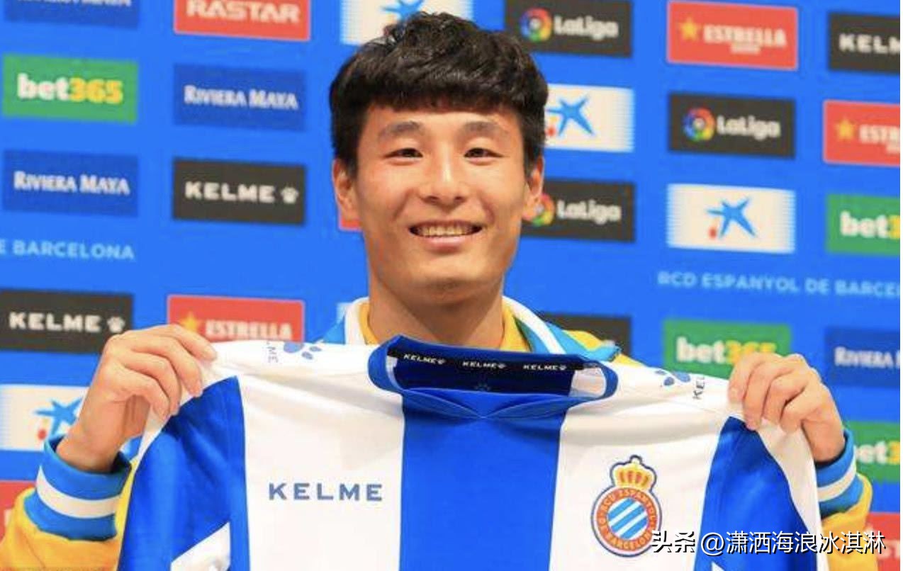 五大联赛进球排名,中国球员五大联赛全部进球集锦