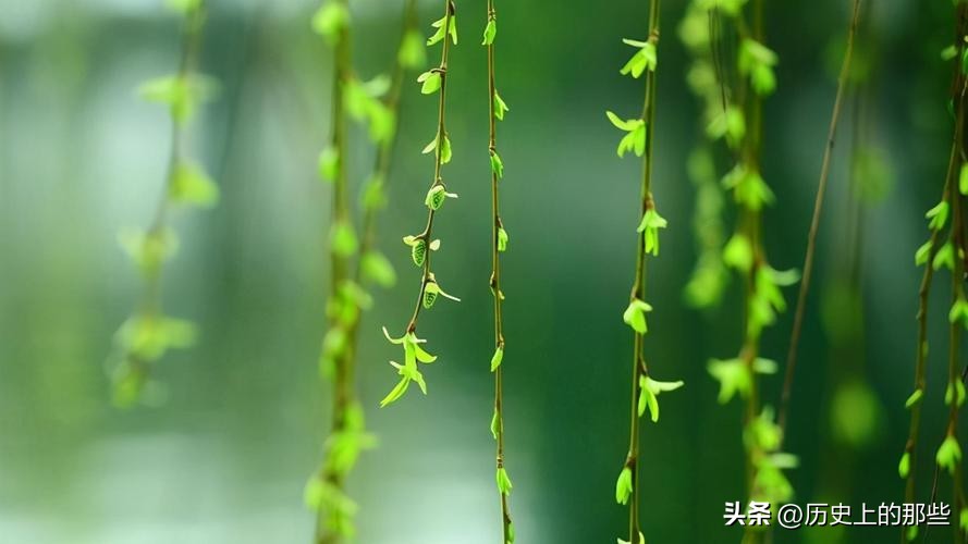 寒食祭祖还是清明祭祖,清明和寒食是什么意思