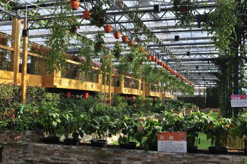 从南京出发去九寨沟自驾游攻略,自驾游南京旅游攻略最新