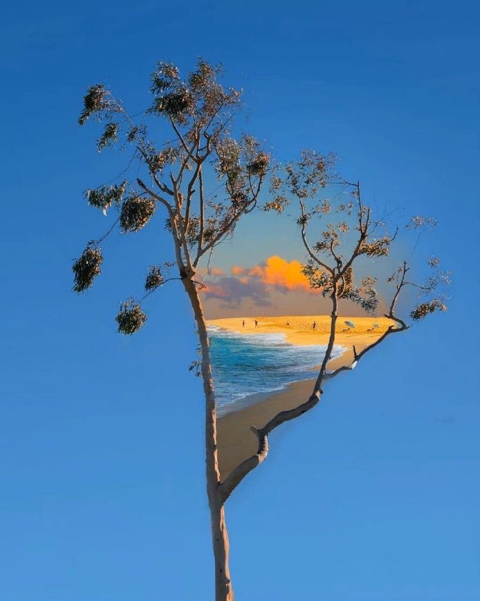 异性之间一旦缘尽会有这些信号,异性之间有这种思念才算真爱