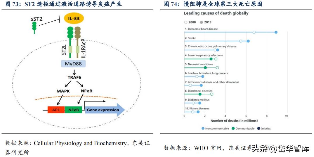 有效避开内卷，迈威生物：ADC锋芒初显，快速成长的Biopharma