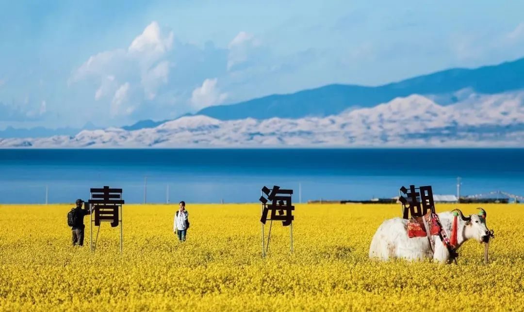 世界之大无奇不有美景,世界之大无奇不有令人惊叹的景色