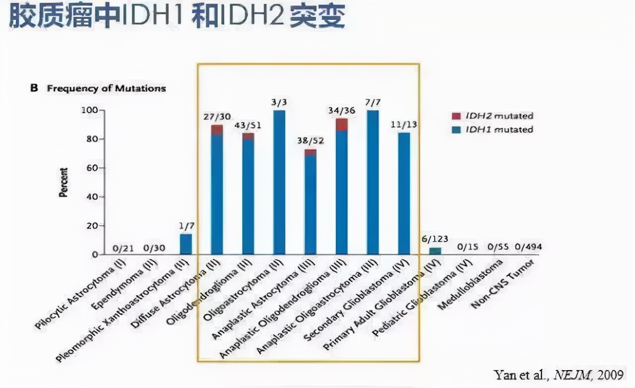 idh突变的星形胶质瘤预后,胶质瘤idh1突变和idh2不突变