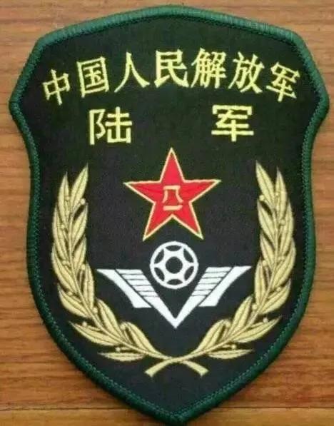 常服陆军军种胸标,陆军新式胸标普及了吗