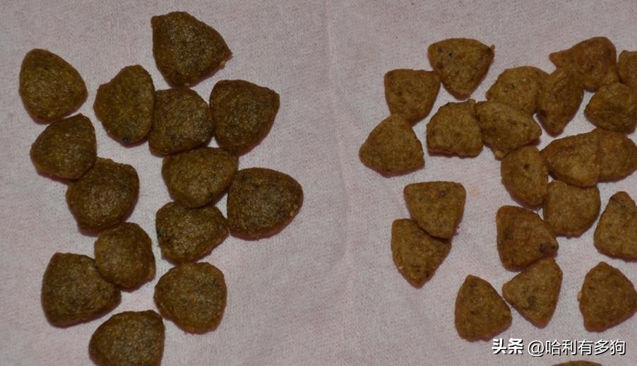 幼犬粮和全阶段粮的区别,成犬粮和幼犬