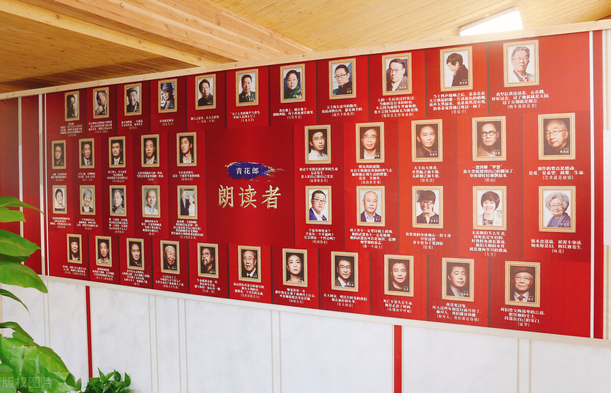 董卿豪门梦碎,央视一姐董卿最新状况