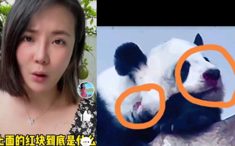 失去中国游客的泰国旅游业现状,泰国旅游现状机场空无一人