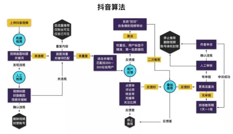 粉丝量低但有流量怎么变现,教你怎么涨粉丝涨流量