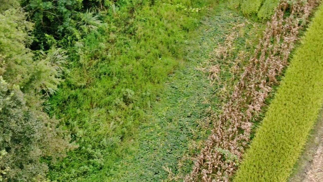 蜂群里如何区分幼蜂,如何通过守卫蜂判断蜂群大小