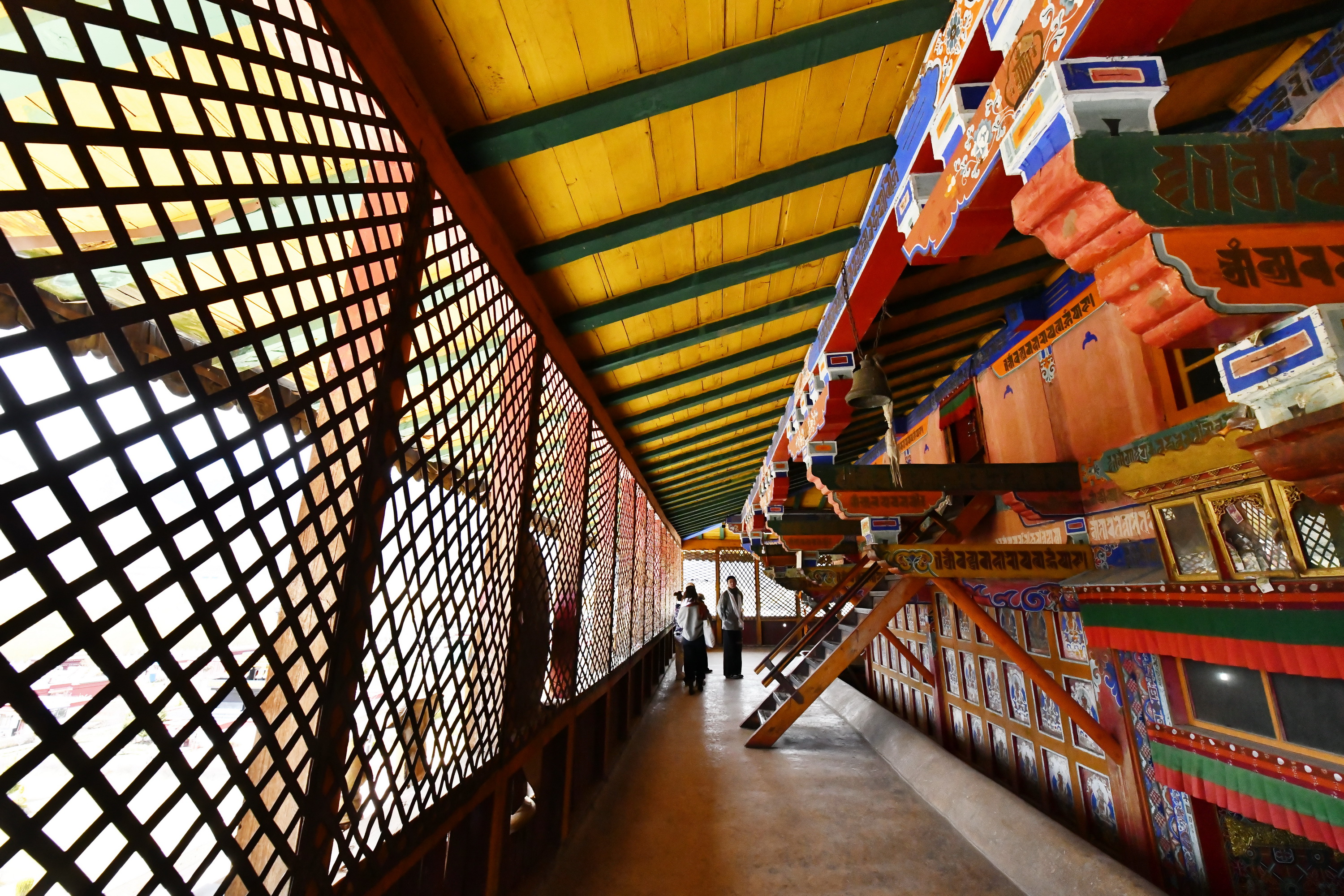 我的林芝一日游攻略,林芝看桃花西藏之旅