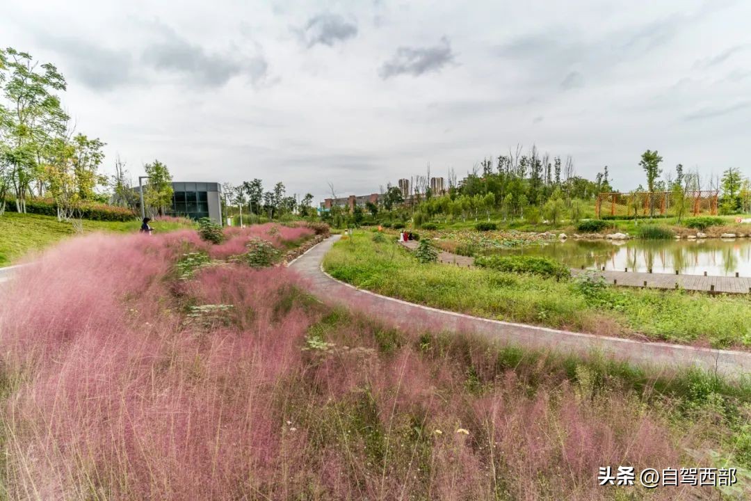 成都兴隆湖湿地公园在哪个区,成都桤木河湿地公园旅游攻略