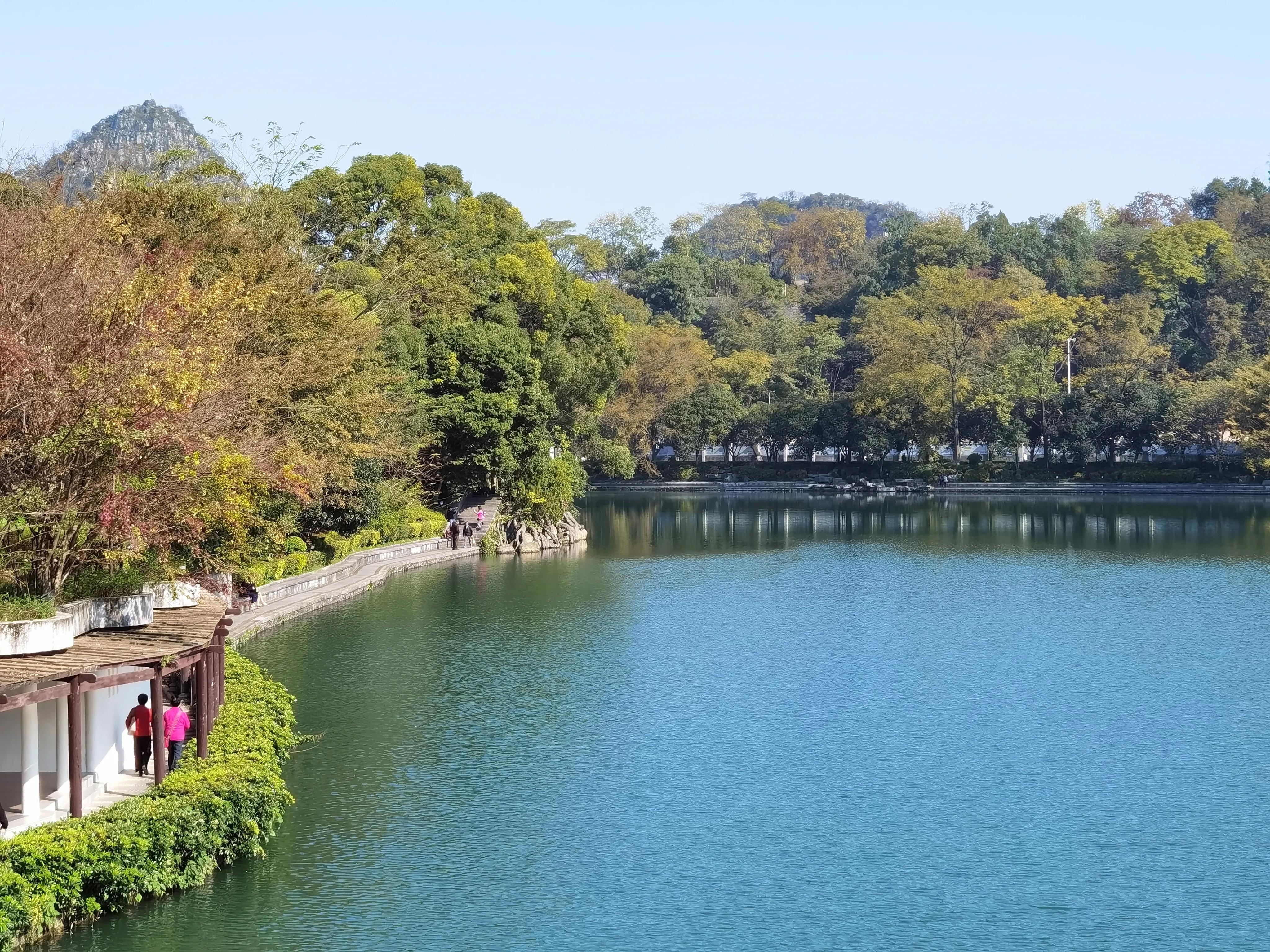 桂林的桂湖在哪里,桂林两江四湖之桂湖