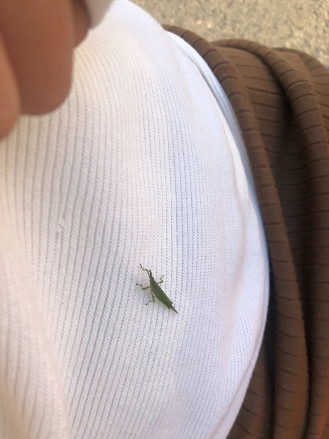 9月，谢谢你们送来的秋天