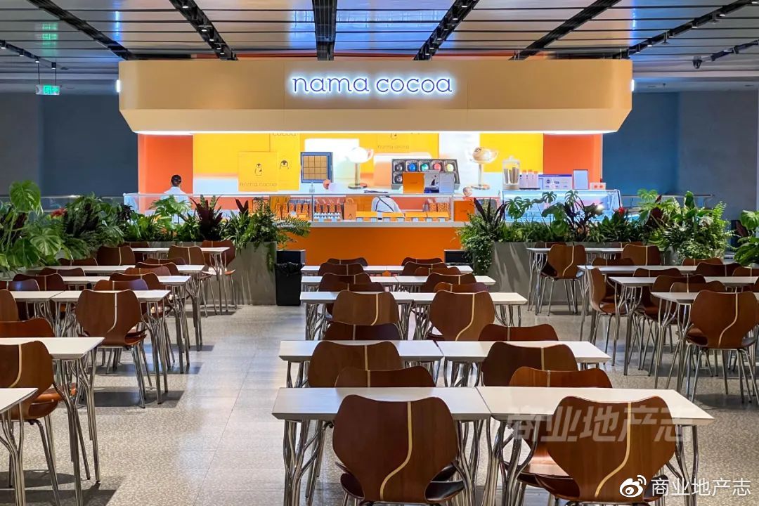 CRR速记|DT51，SKP的mini版？