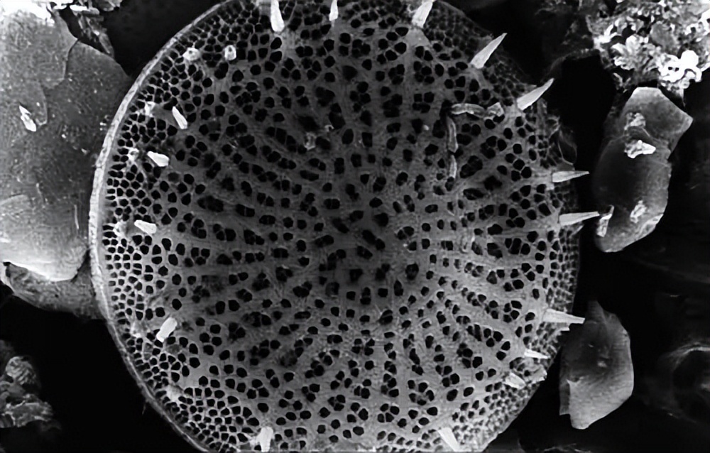 影响电解铝反应因素,电解铝发生效应的现象是什么