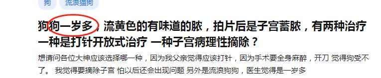 宠物子宫蓄脓最佳治愈方法,宠物子宫蓄脓发病率