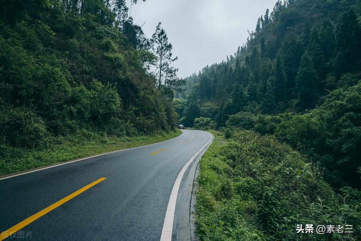 女作家去做保姆15年,女作家去做保姆奇葩的理由