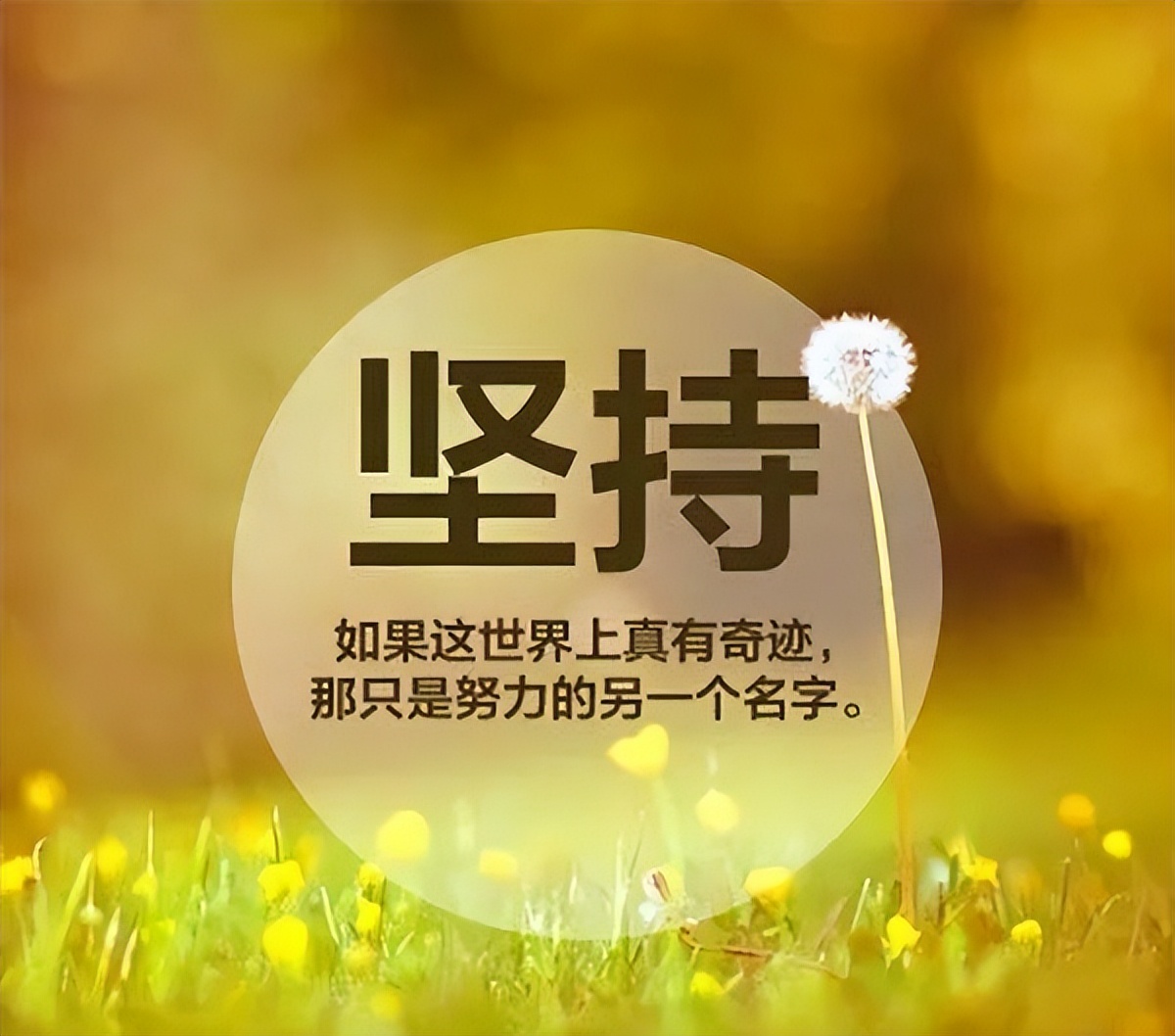 某鱼无货源网店该怎么做