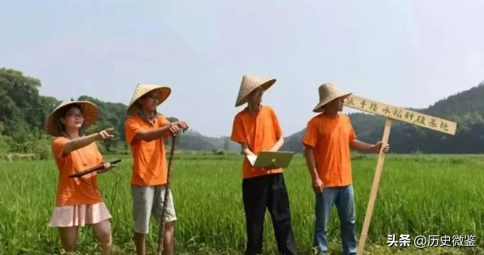 放弃百万年薪回农村种地,放弃30万年薪回农村