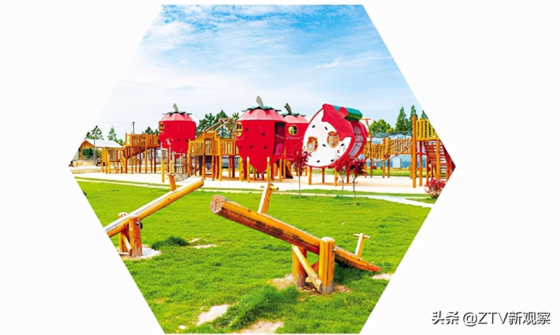 平湖市新仓镇组织共建、资源共享、发展共赢的共富之路