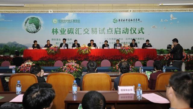 林业碳汇的危害,林业碳汇注意事项