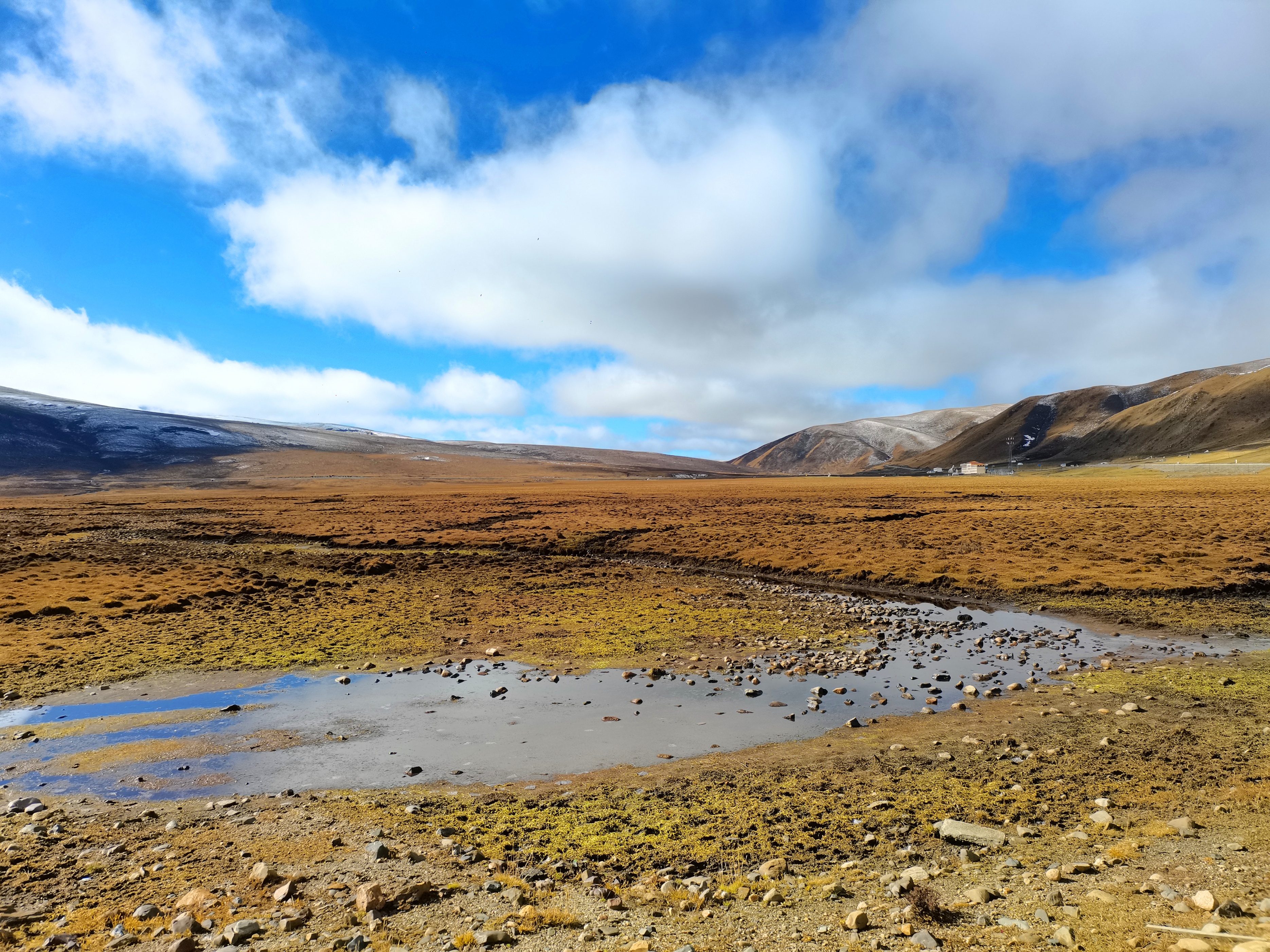 甘南自驾游洛克之路的绮丽风景,四川省甘南旅游景点自驾游推荐