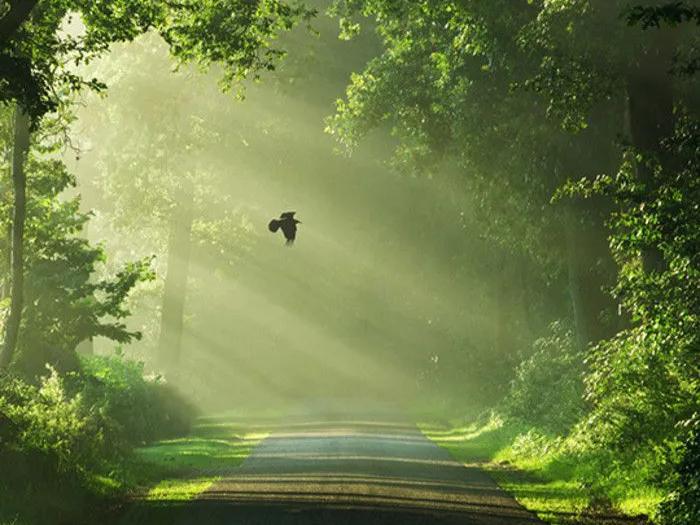 正确恋爱观应该是多长时间谈恋爱,恋爱观是谈恋爱要谈到结婚的