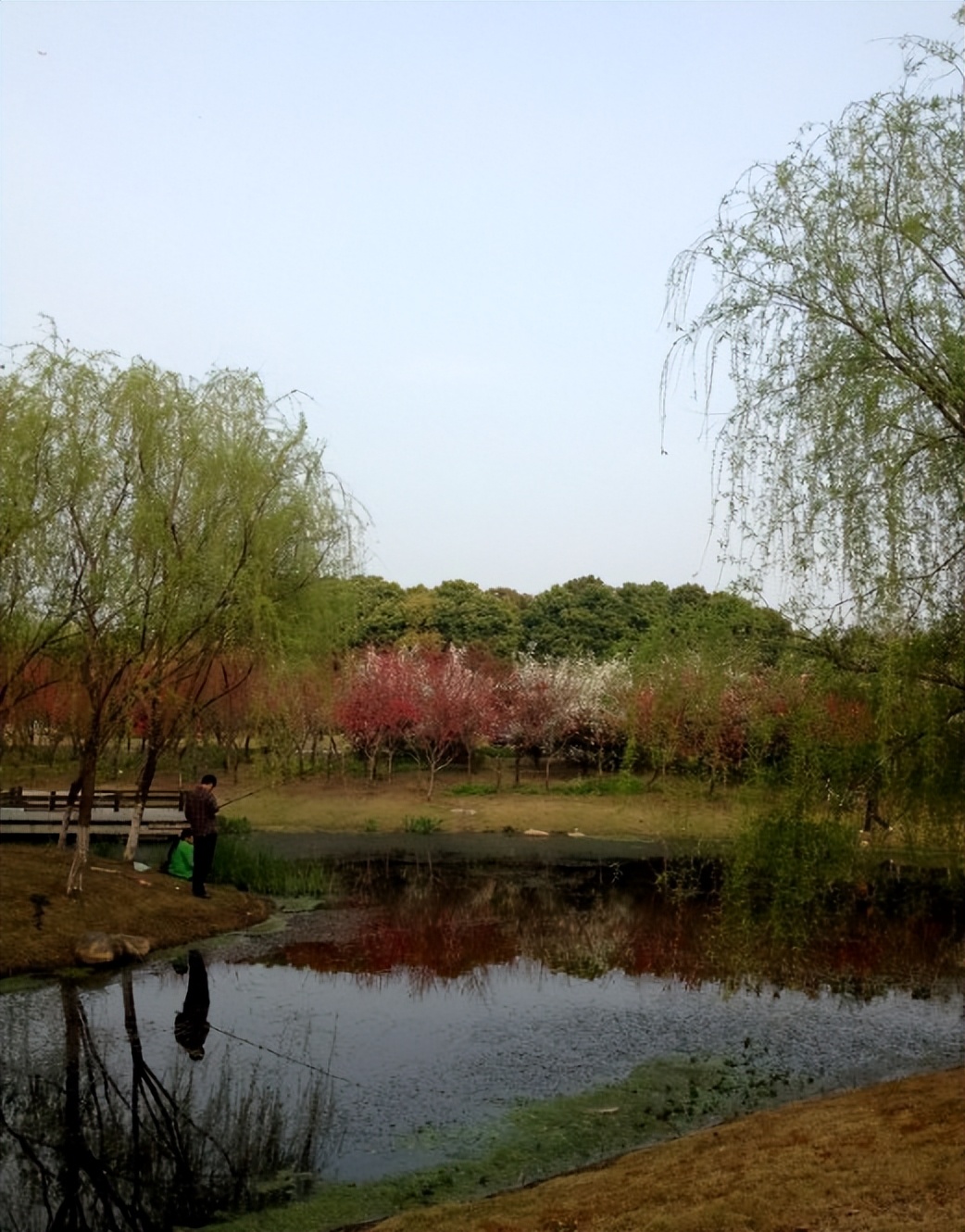 上海第一大人工湖在哪里,上海最值得打卡的公园