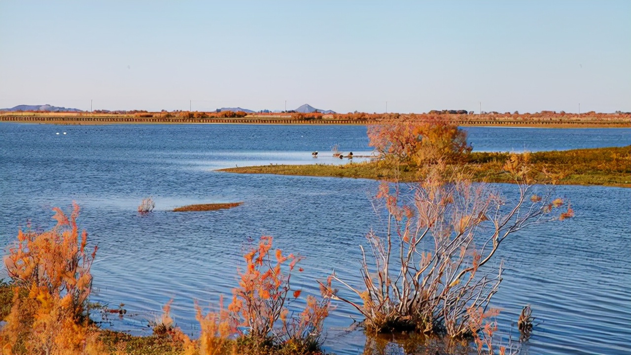 内蒙古额济纳旗避坑攻略,内蒙额济纳旗红城遗址