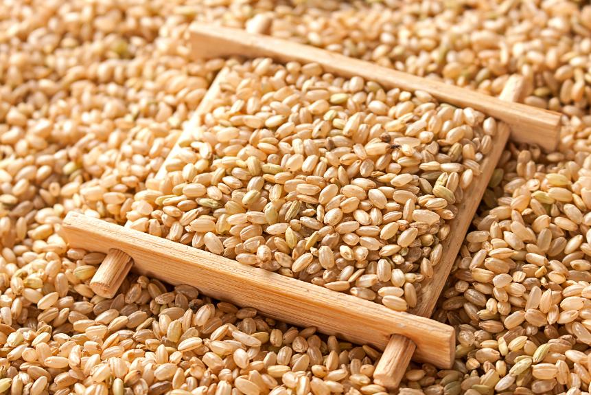 减肥减脂肪最好的食物南瓜,减肥食物排行榜南瓜