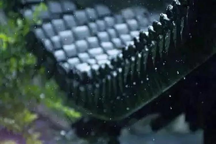 雨水哲理,雨水的好句