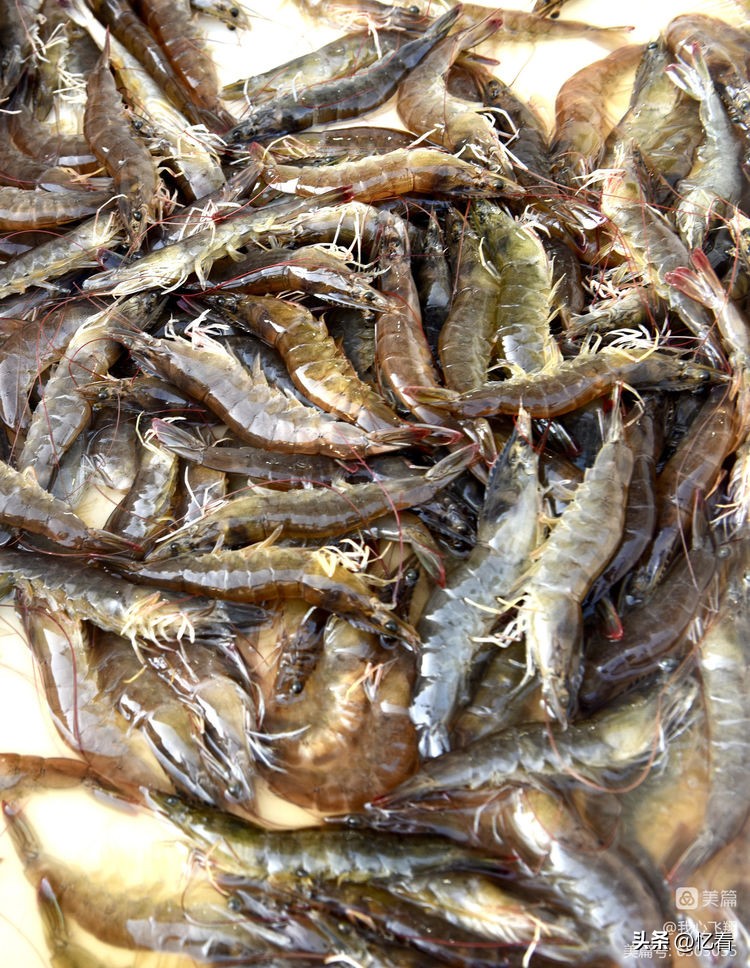 天津西关街老胡同大全,天津西关街美食糕点推荐