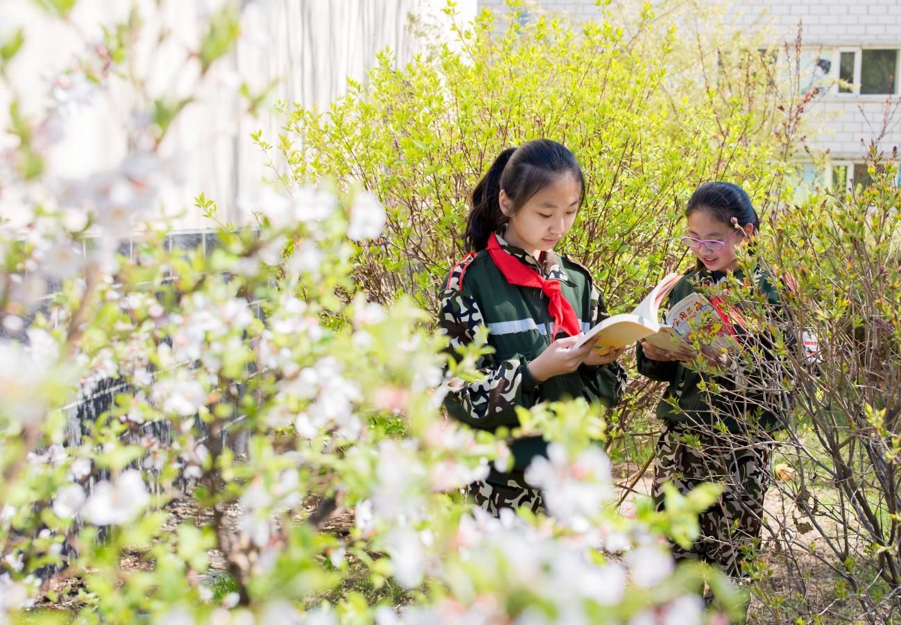 品正迷彩绿绽放文明花——内蒙古自治区文明校园五塔寺东街小学