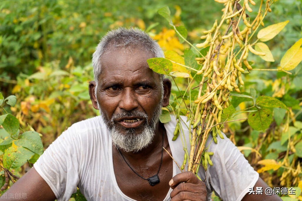 俄罗斯石油出口印度到哪里了,印度进口俄罗斯石油后卖给了谁