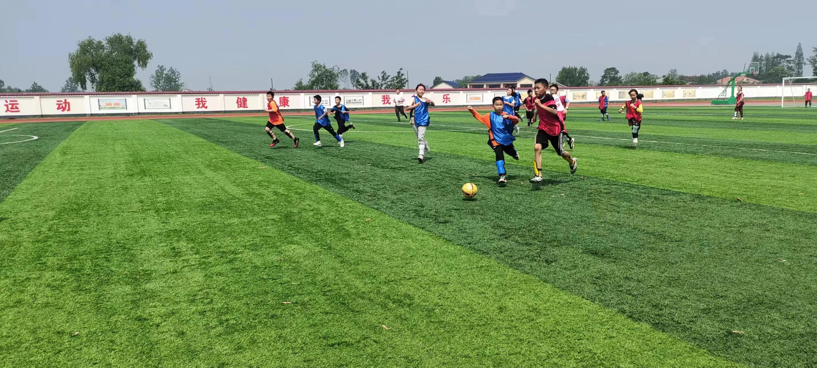 闈掑矚閫愭ⅵ,鎴戝幙2019鏍″洯瓒崇悆鑱旇禌鍦嗘弧钀藉箷