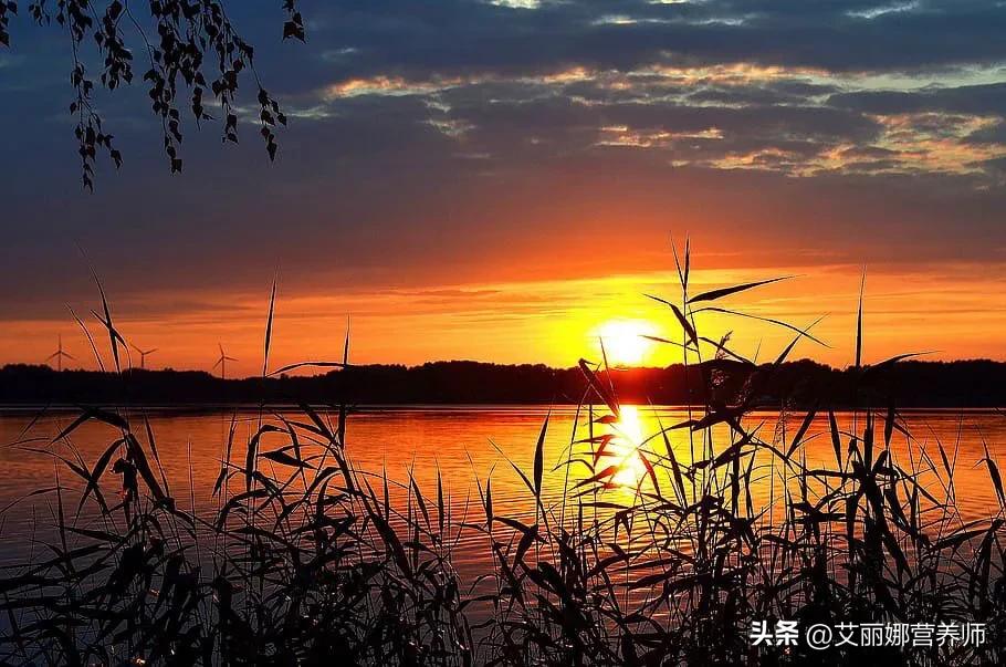 找到自己想做的事并为之努力,如何去寻找自己真正热爱的事情