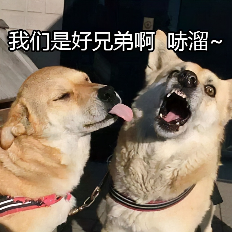 德、日技术*锁封**，中国“手撕钢”被迫反超，结果欧美排队购买