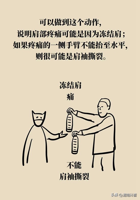 肩膀不抻不疼一抻就疼,肩膀往后伸疼