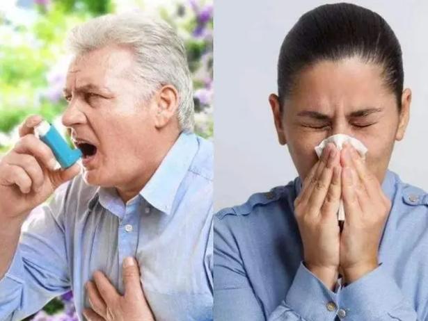 过敏性鼻炎哮喘综合征,过敏性鼻炎诱发哮喘的进程