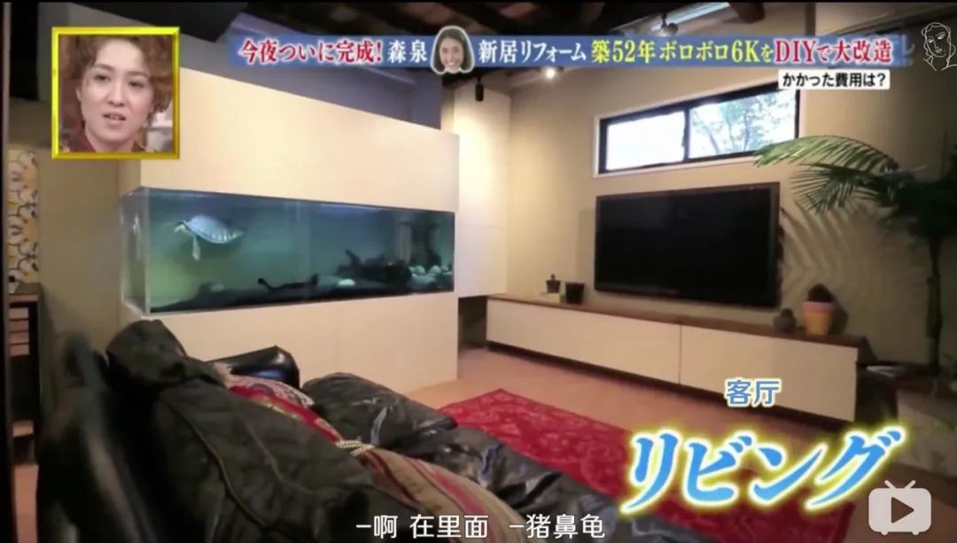 日本林志玲,从模特变包工头!砸4000W买破房,又花500W拆了重装