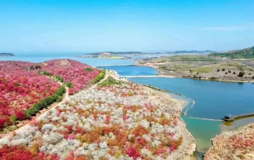 五一假期相约,五一相约一起嗨舞