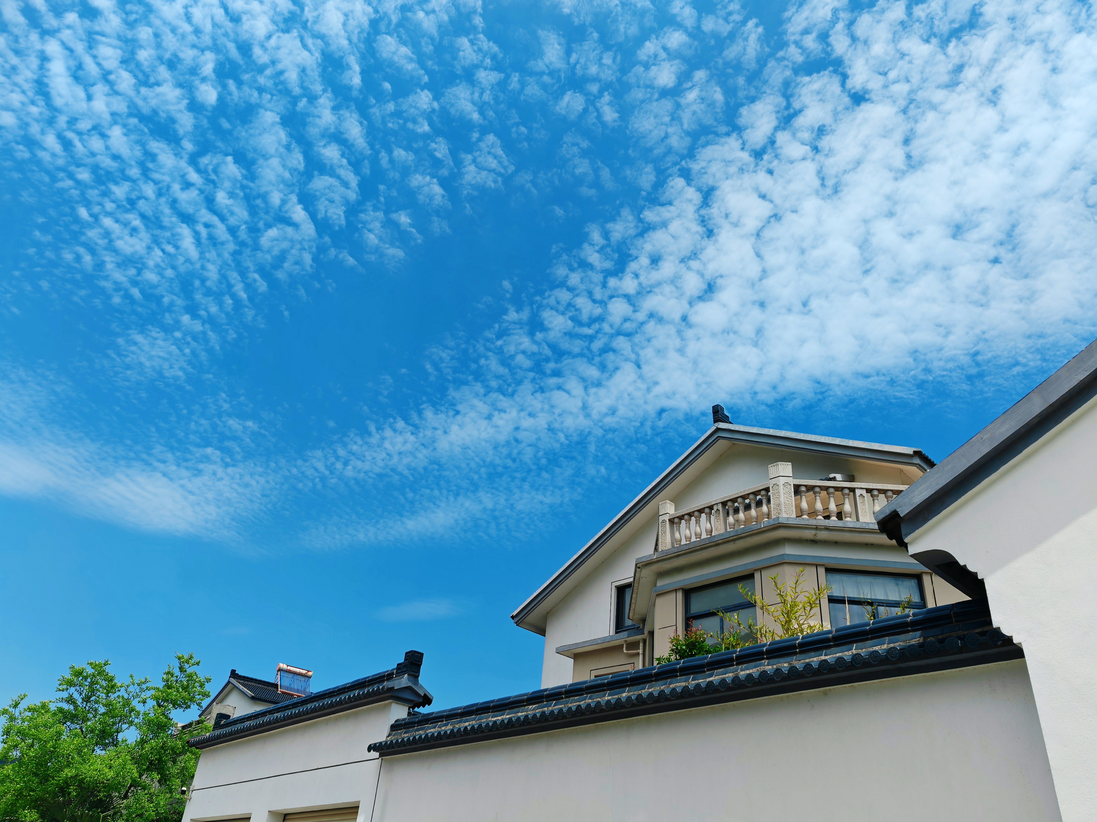 为什么国产手机拍照会模糊,国产旗舰手机为什么喜欢拍照