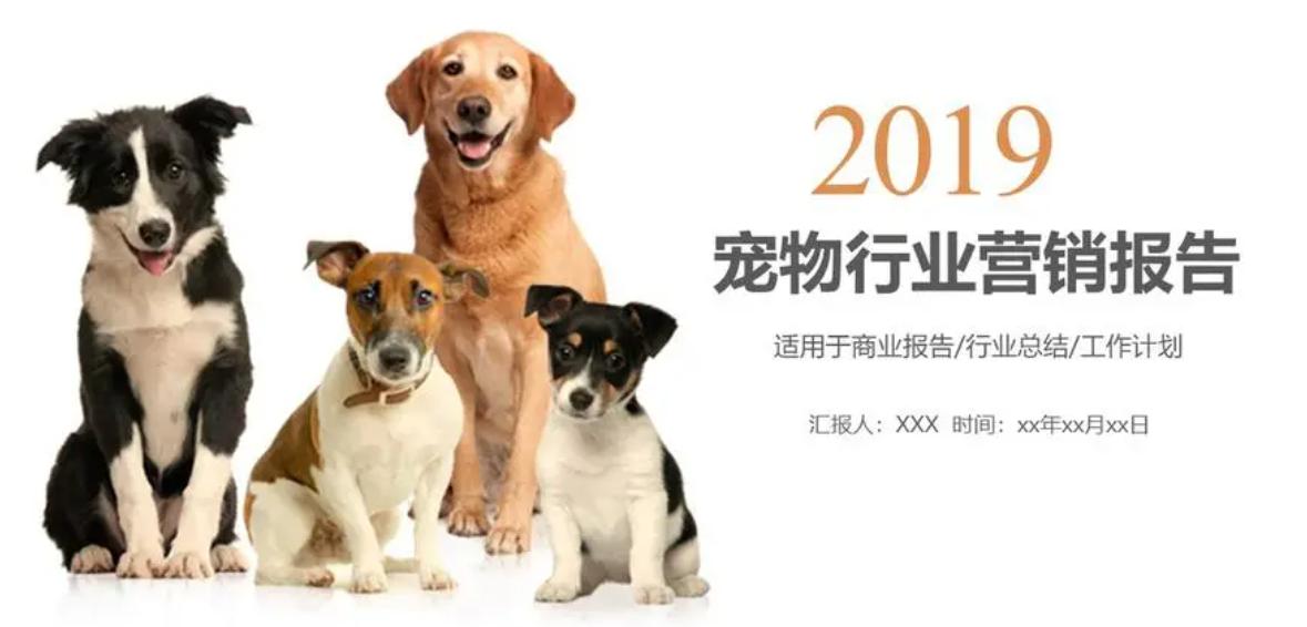 24年之后适合做什么行业创业,未来十年适合自己创业的职业