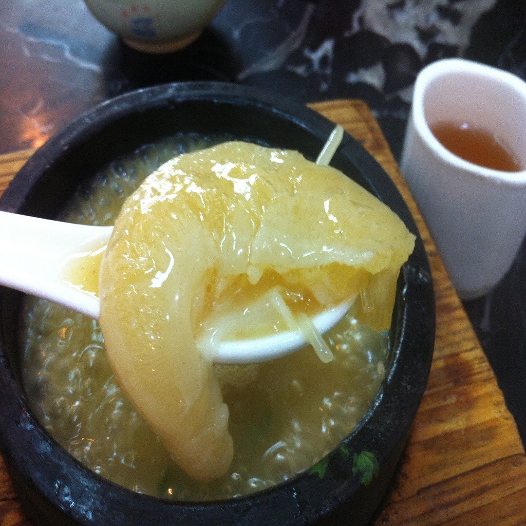 割掉鱼翅的鲨鱼放进海里,割掉鱼翅的鲨鱼搁在水里还能活吗